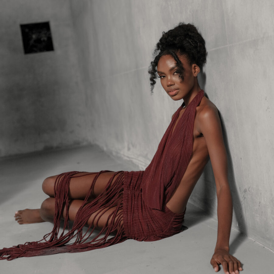 VELVET SOUL DRESS - VINO